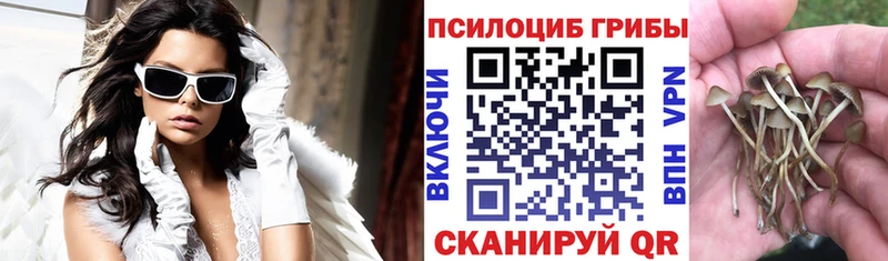 Галлюциногенные грибы ЛСД  купить наркотики цена  Мураши 